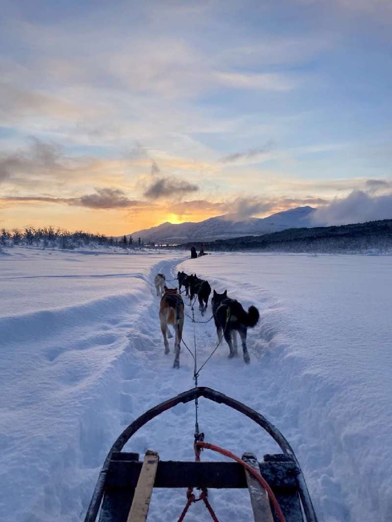 View from the dog sled